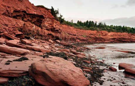 Image: Atlantic Red Cliff, Roberta Bondar, 1999