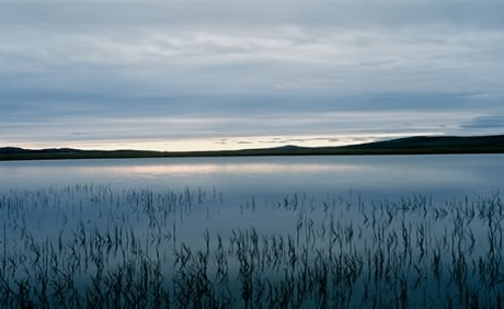 Image: Tundra Pond, Roberta Bondar, 1999