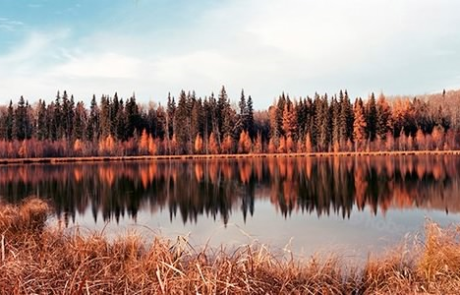 Boreal Fall, Roberta Bondar