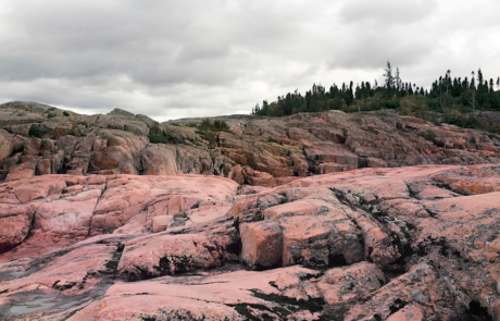 Title unknown, Roberta Bondar, Date unknown