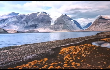Title unknown, Roberta Bondar, date unknown