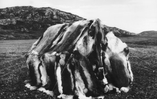 Image: Caribou skin tent Bathurst Inlet, Fred Bruemmer, date unknown