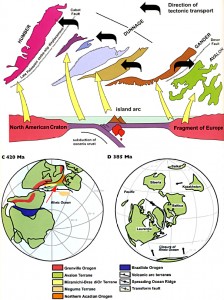 Figure 1 Assembly of Newfoundland