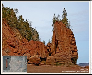 Figure 2: Stromatolite Fossils, The Hopewell Rocks. Photographer: Gwen L. Martin / Jenny Hughes